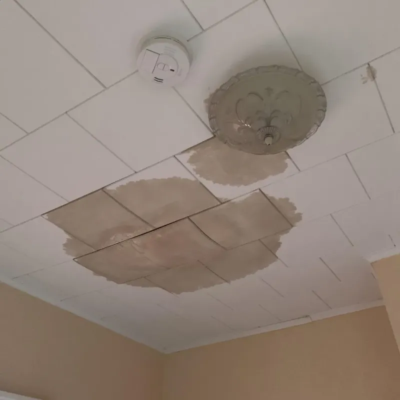 Ceiling Water Damage Repair in Shullsburg, WI
