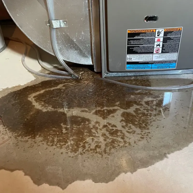 Pipe Burst and Leak Restoration in Shullsburg, WI