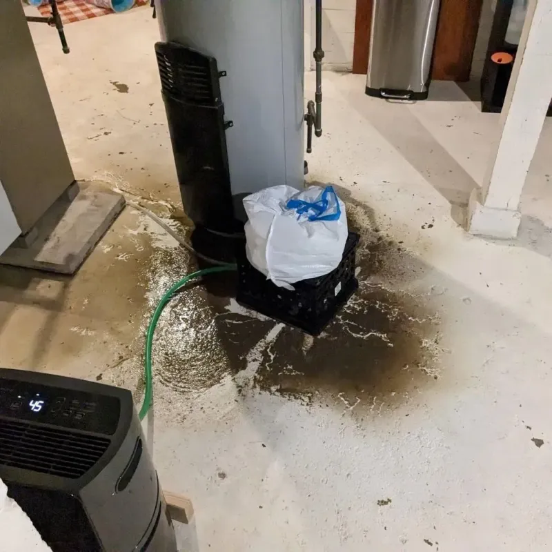 Sewage Backup Cleanup Service in Shullsburg, WI